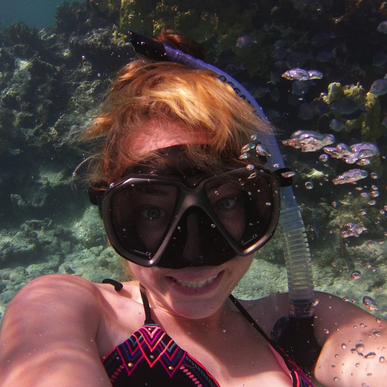 Elizabeth profile pic